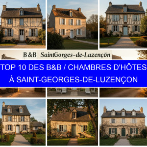Top 1 des B&B / Chambres d'hôtes à Saint-Georges-de-Luzençon